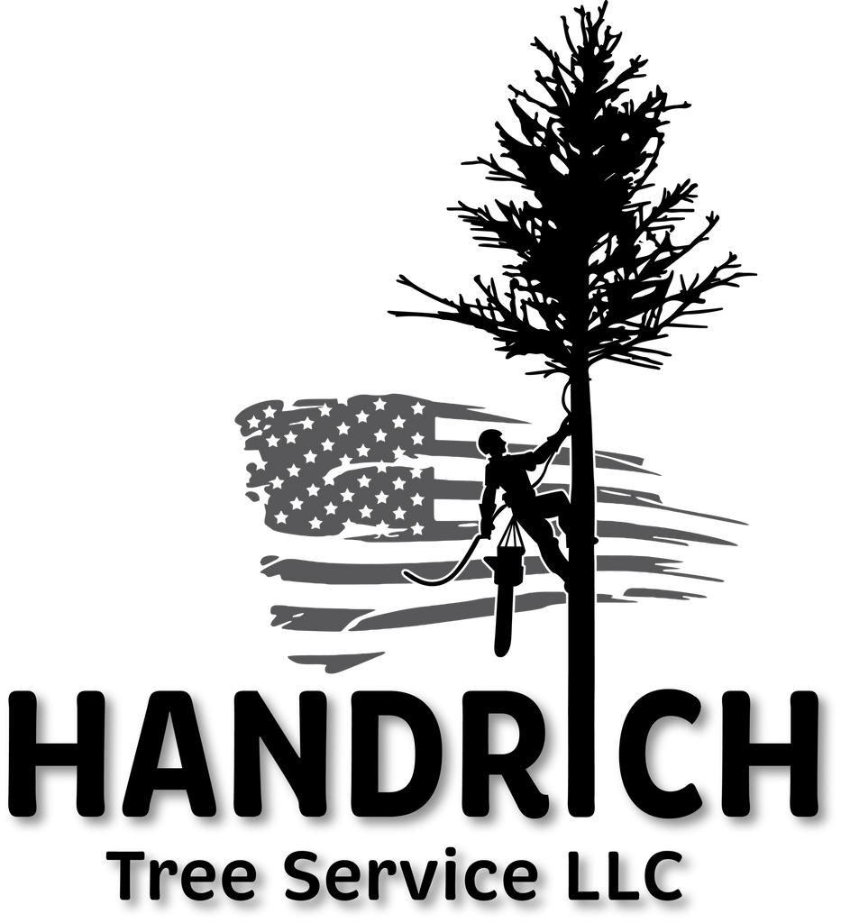 Handrich Tree Services LLC