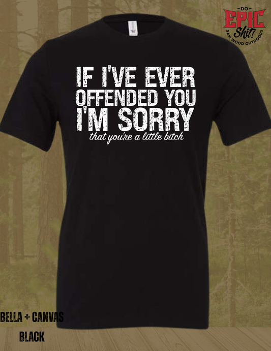 If I offended you...