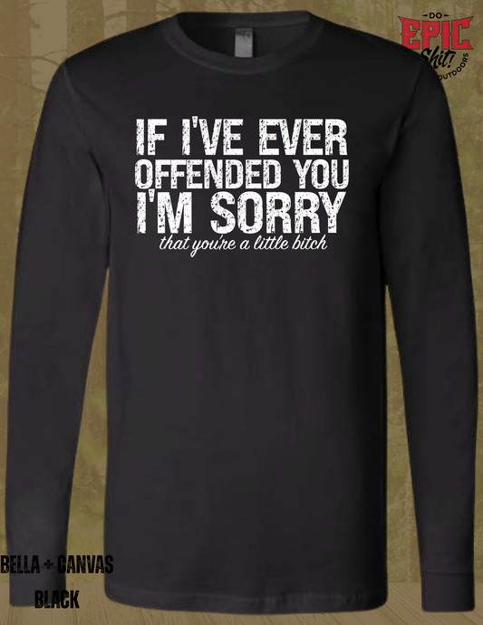If I offended you...