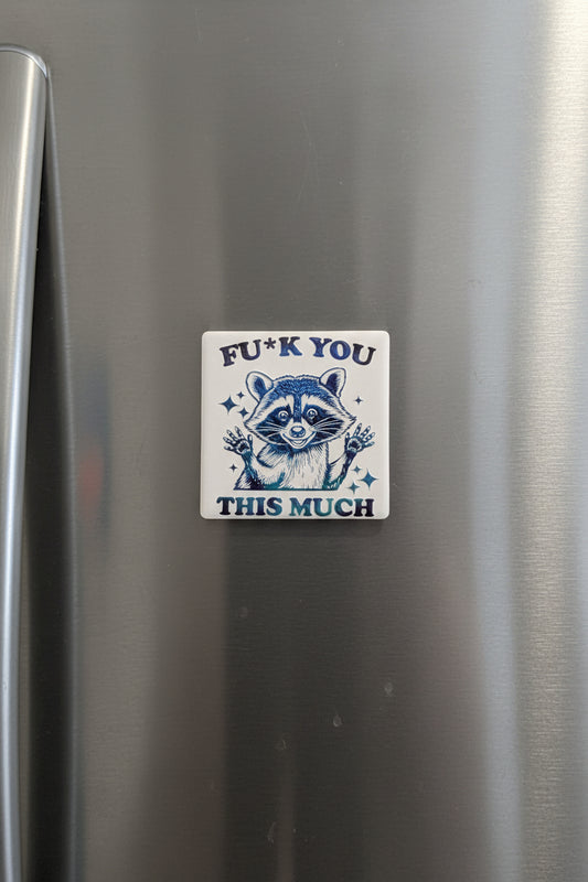 Fuck You This Much Magnet
