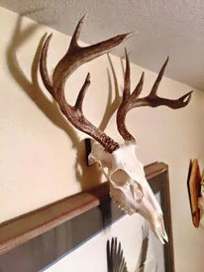Original Dead Head Hanger
