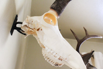 Original Dead Head Hanger
